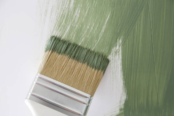 Best Attic Mold Removal  in Grass Valley, CA