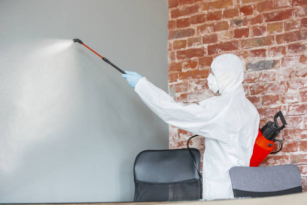 Best HVAC Mold Inspection and Cleaning  in Grass Valley, CA