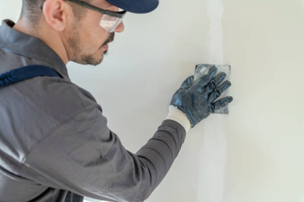 Professional Mold Removal in Grass Valley, CA