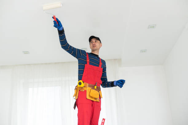 Best Biohazard Mold Removal  in Grass Valley, CA